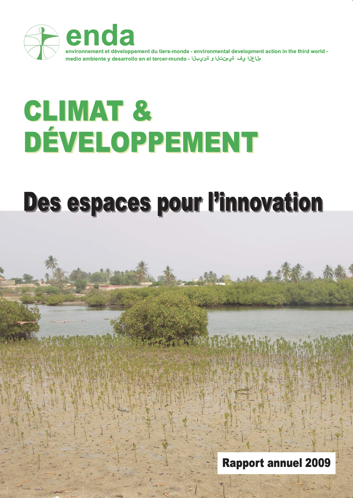 RAPPORT ANNUEL ENDA 2009