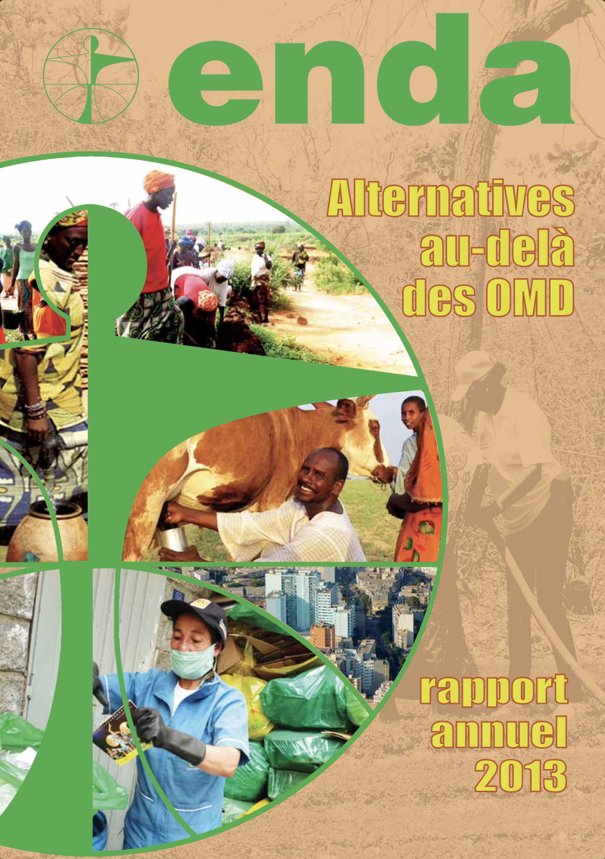 RAPPORT ANNUEL ENDA 2013