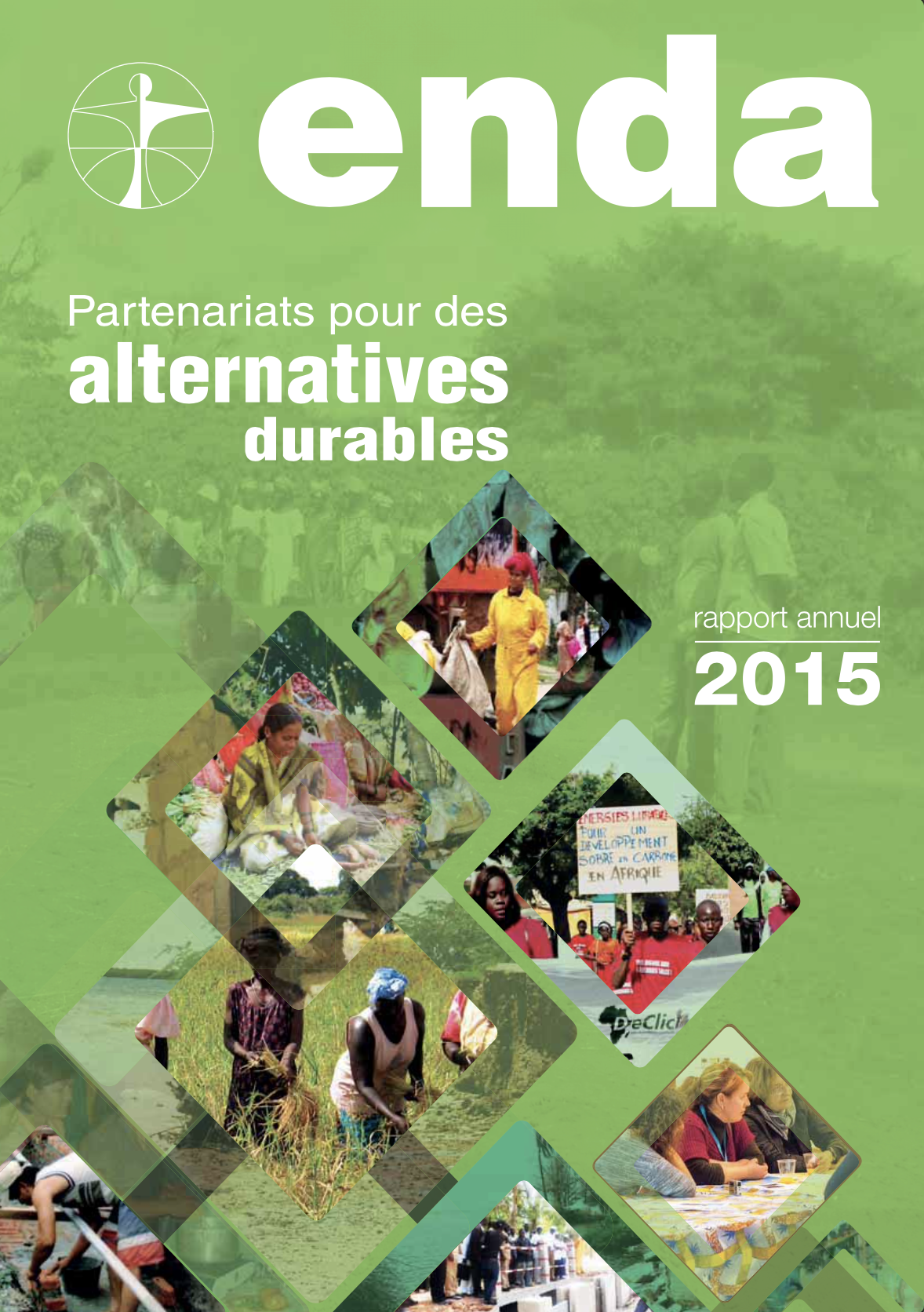 RAPPORT ANNUEL ENDA 2015