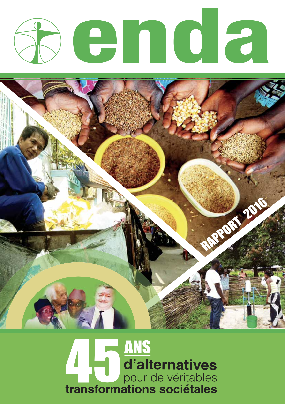 RAPPORT ANNUEL ENDA 2016