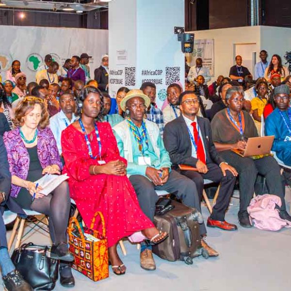 Lutte contre le changement climatique en Afrique – Les recommandations de la société civile à la COP 28