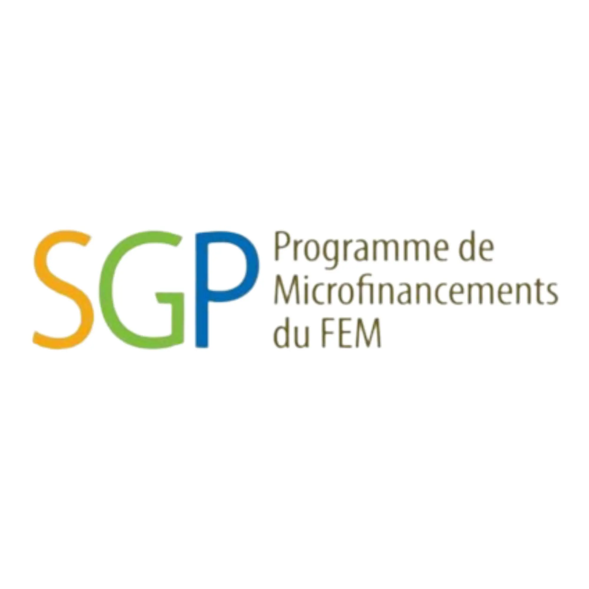 Programme de Microfinancements du FEM