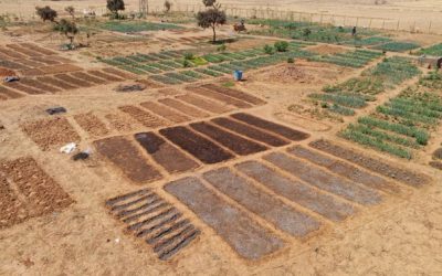 Biodiversité : quand les solutions locales façonnent l’avenir de l’Afrique de l’Ouest